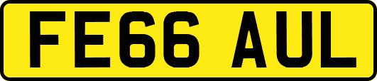 FE66AUL