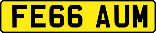 FE66AUM