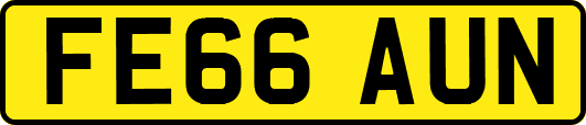 FE66AUN
