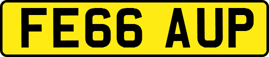FE66AUP