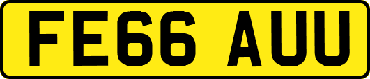 FE66AUU
