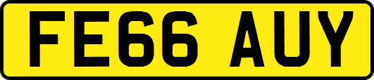 FE66AUY