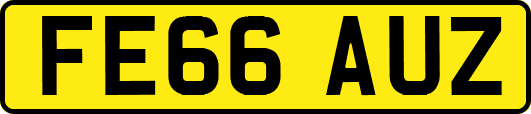 FE66AUZ