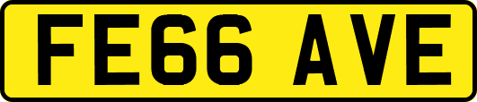 FE66AVE