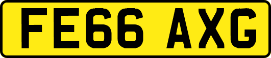 FE66AXG