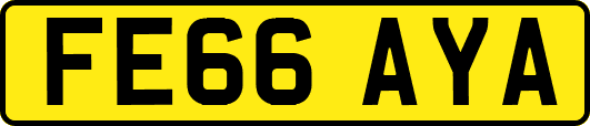 FE66AYA