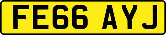 FE66AYJ