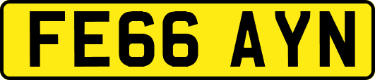 FE66AYN