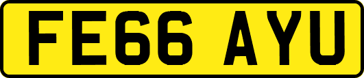 FE66AYU