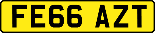 FE66AZT