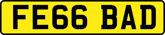 FE66BAD