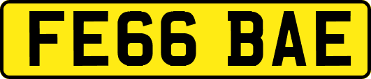 FE66BAE