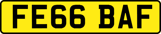 FE66BAF