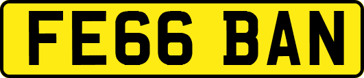 FE66BAN