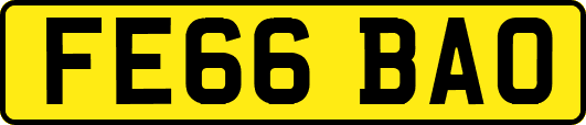 FE66BAO