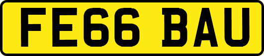 FE66BAU