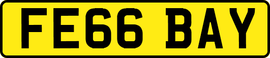 FE66BAY