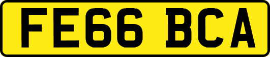 FE66BCA