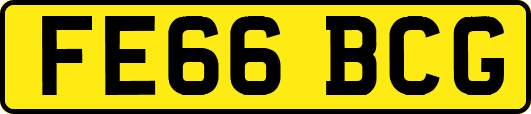 FE66BCG