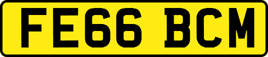 FE66BCM