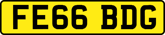 FE66BDG
