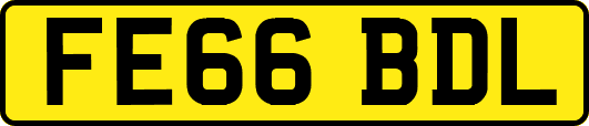 FE66BDL