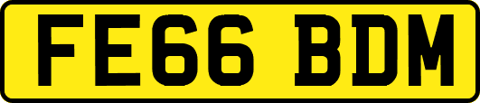 FE66BDM