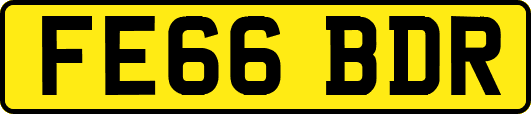 FE66BDR
