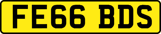 FE66BDS