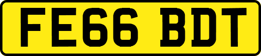 FE66BDT