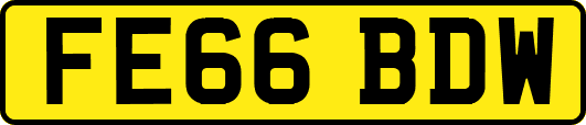 FE66BDW