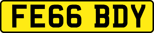 FE66BDY