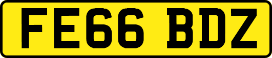 FE66BDZ