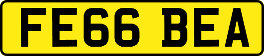 FE66BEA