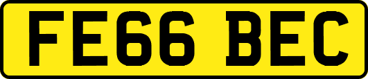 FE66BEC