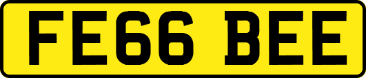 FE66BEE