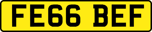 FE66BEF