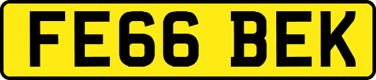 FE66BEK