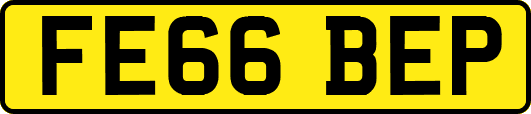 FE66BEP