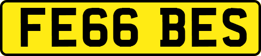 FE66BES
