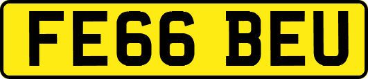 FE66BEU
