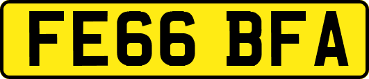 FE66BFA