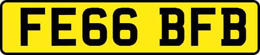 FE66BFB