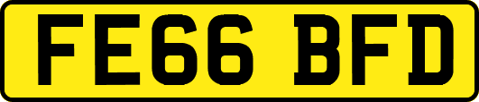 FE66BFD