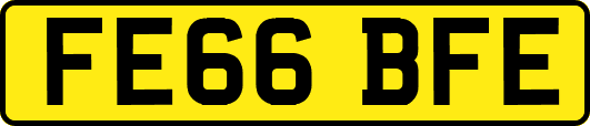FE66BFE