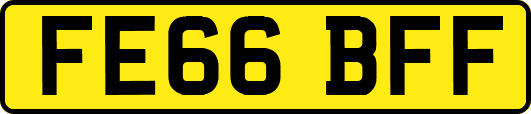 FE66BFF