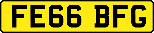 FE66BFG