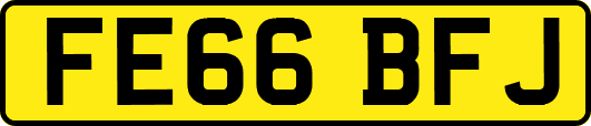 FE66BFJ