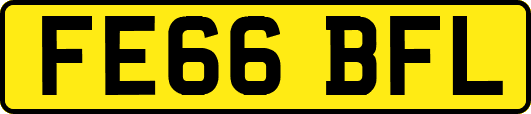 FE66BFL