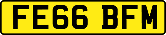 FE66BFM